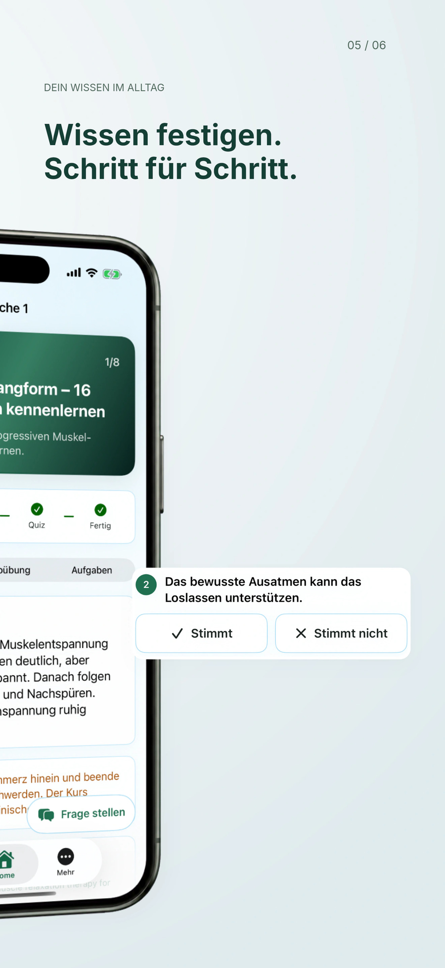 Quiz und Reflexion – rechte Hälfte des iPhones