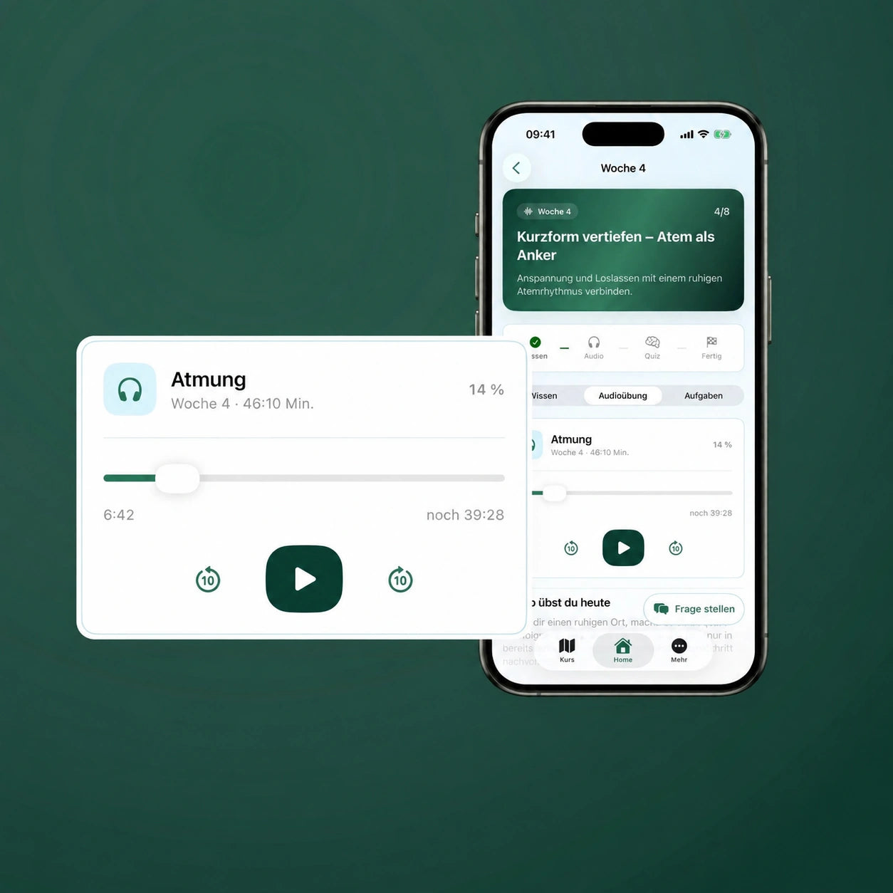 Originale Audioansicht im iPhone mit vergrößerter vollständiger Bedienkarte